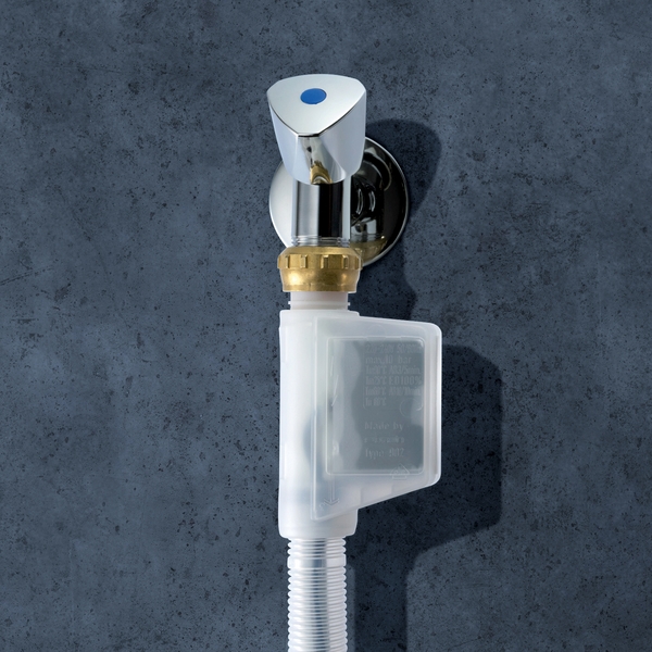 domIm - BS Partner (Image №2)